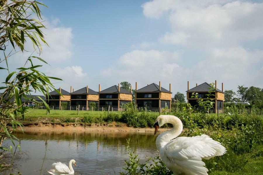 Camping Nieuw Romalo Вортуізен Екстер'єр фото